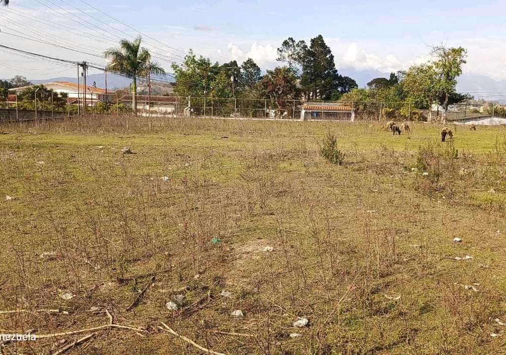 Terreno en Las Polonias Nuevas, Altos Mirandinos - 1