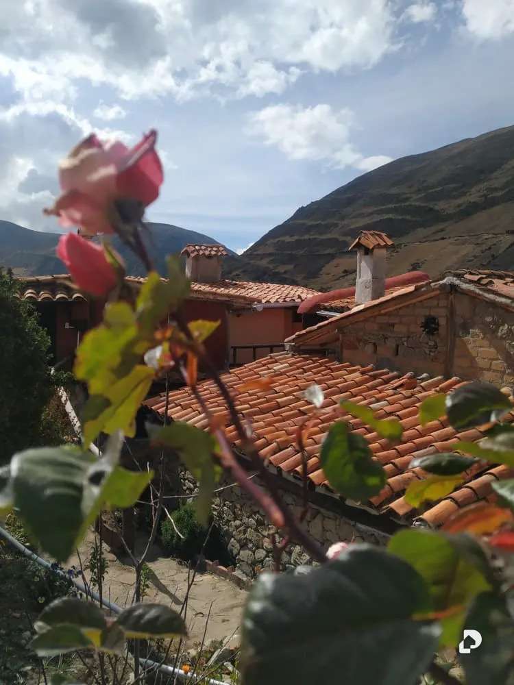 Finca en Micarache, Gavidia – 26