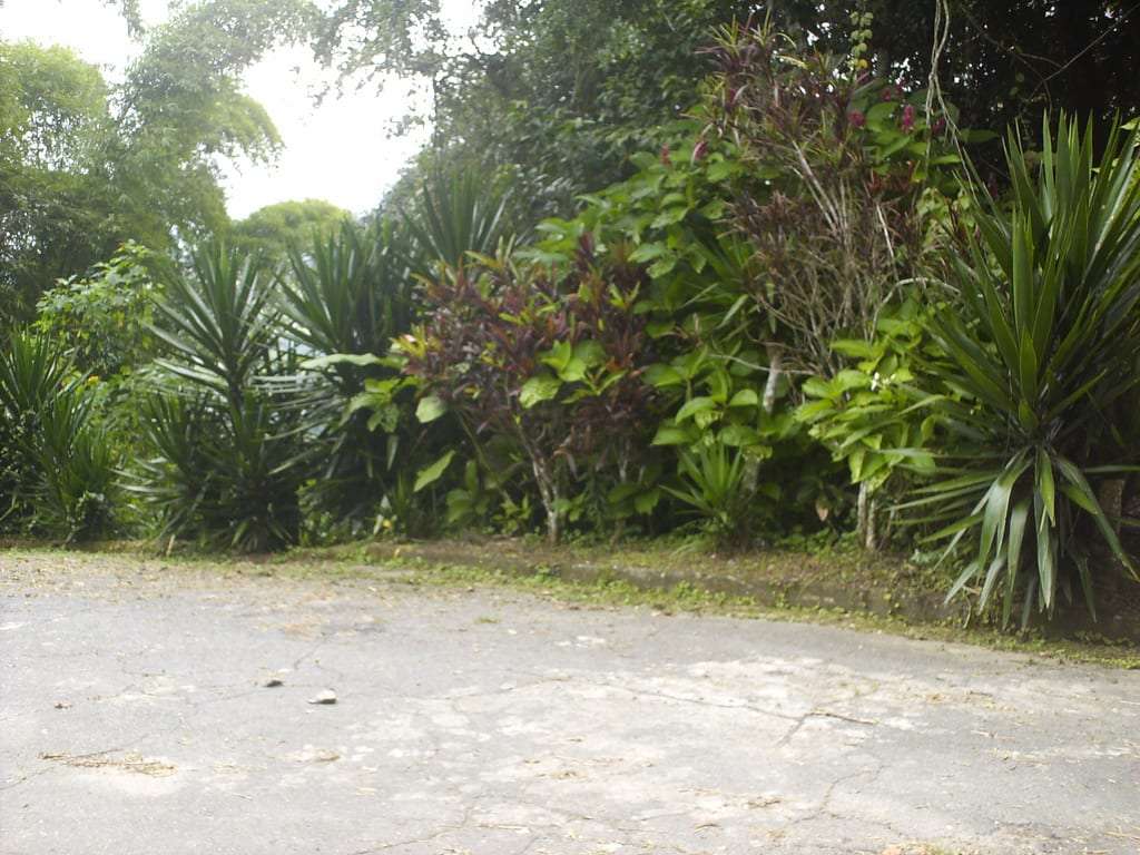 Terreno en Oripoto, Caracas - 1