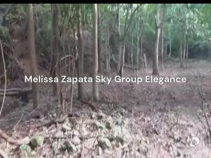 Terreno en Las Palmas, Barquisimeto – 1