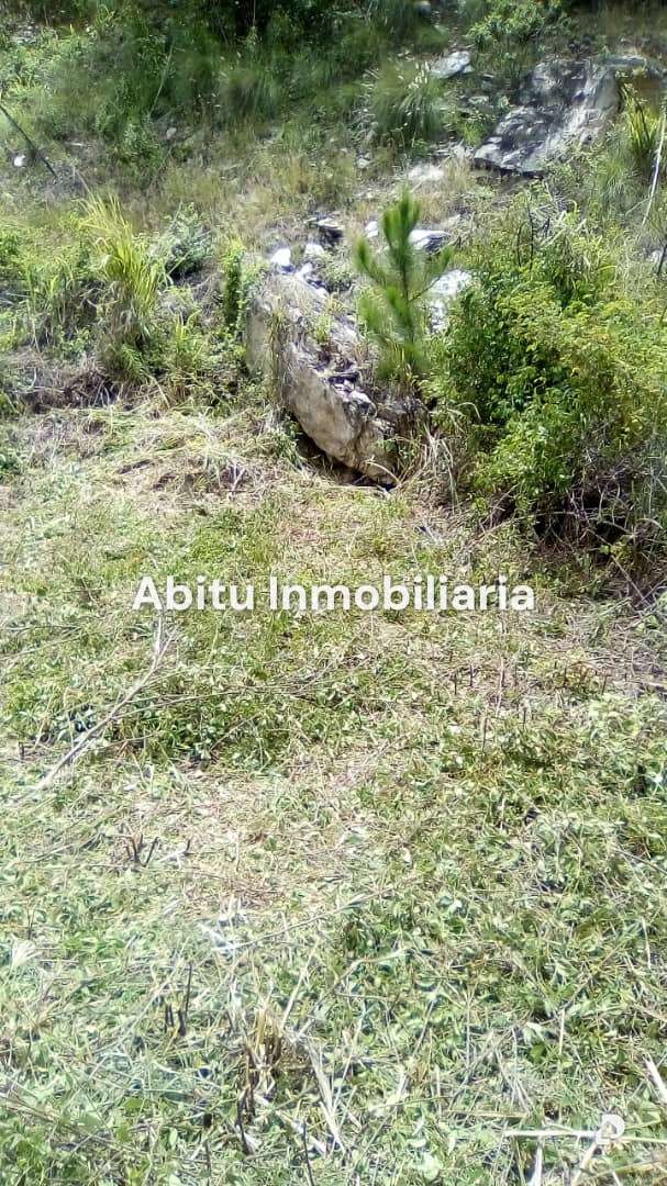 Terreno en Lomas de Prados del Este, Caracas – 4