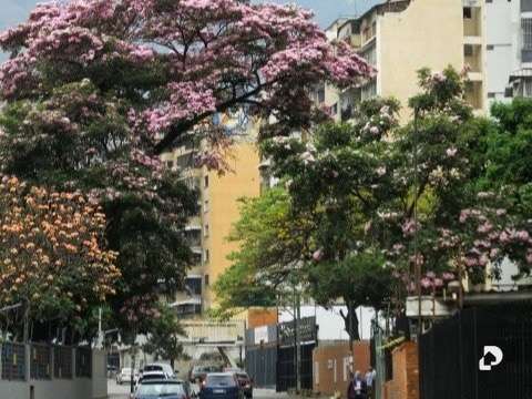 Habitación en Los Ruices, Caracas – 2