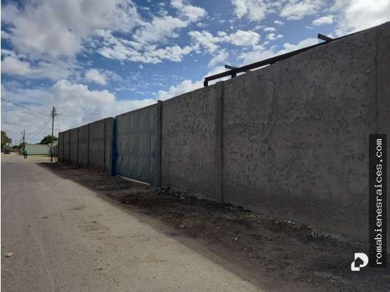 Terreno en Punto Fijo – 11