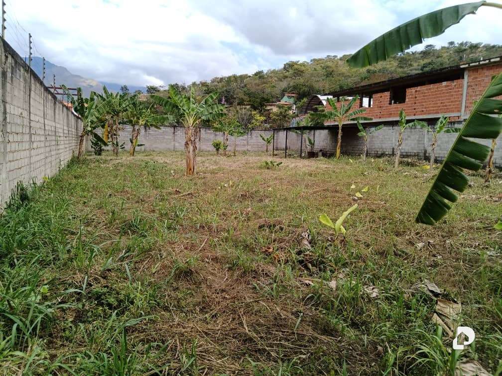 Terreno en San Diego – 5