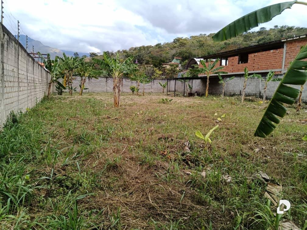 Terreno en San Diego – 5