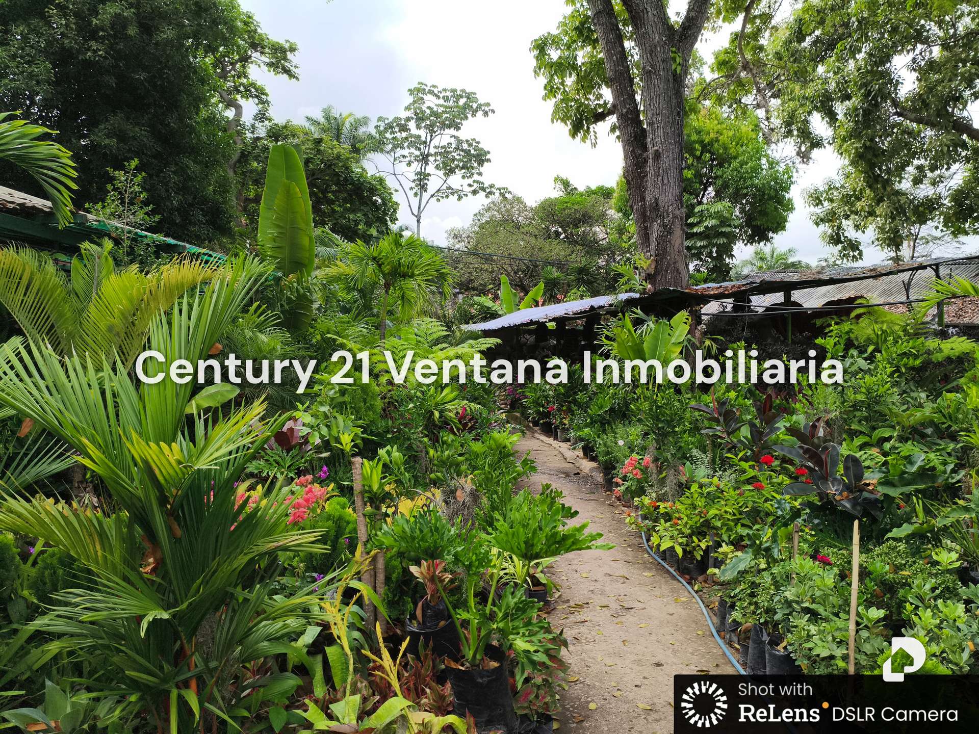Land in Los Chorros, Caracas – 5