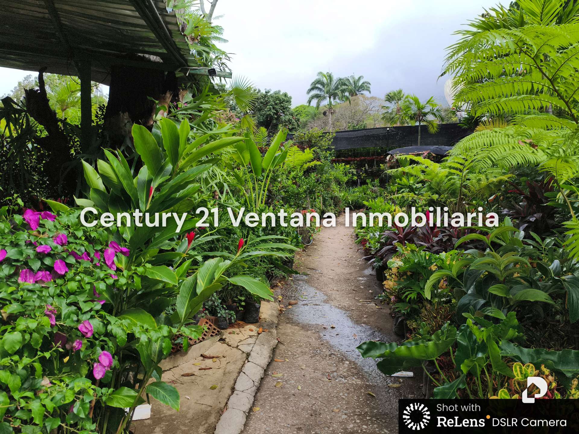 Land in Los Chorros, Caracas – 4
