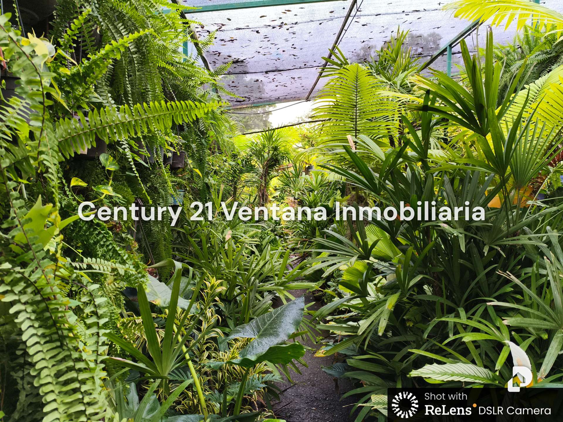 Land in Los Chorros, Caracas – 6