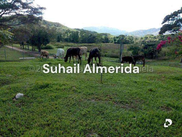 Finca en Belén – 23