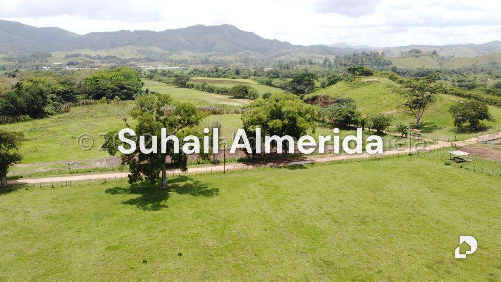 Finca en Belén – 7