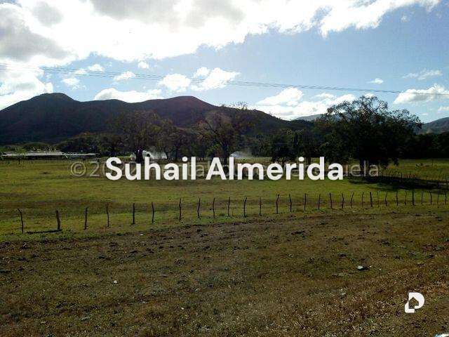 Finca en Belén – 22