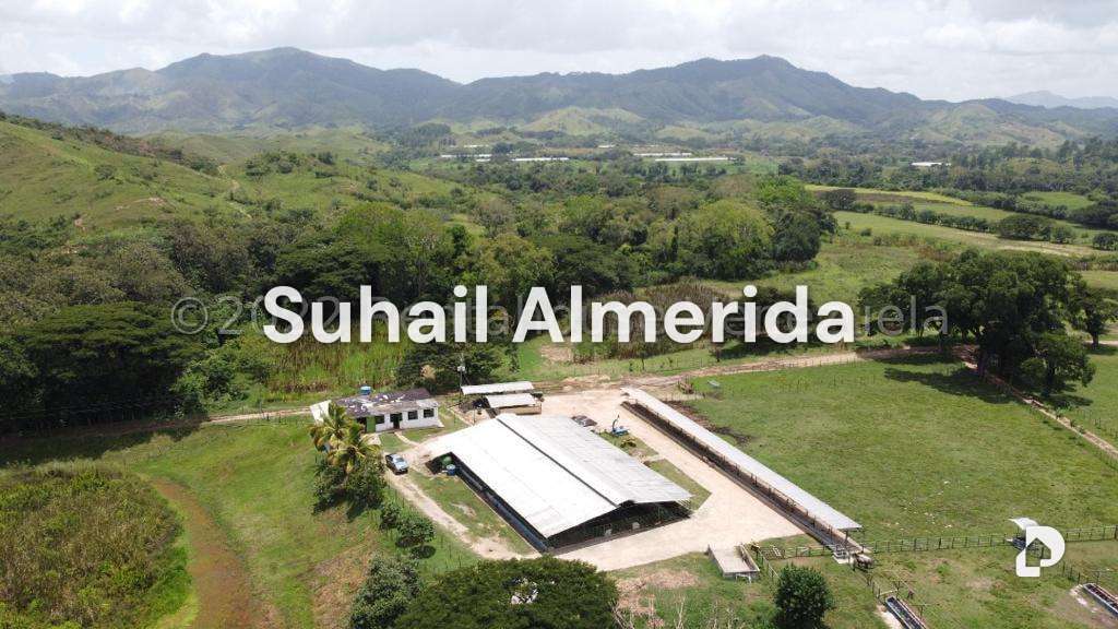 Finca en Belén – 1
