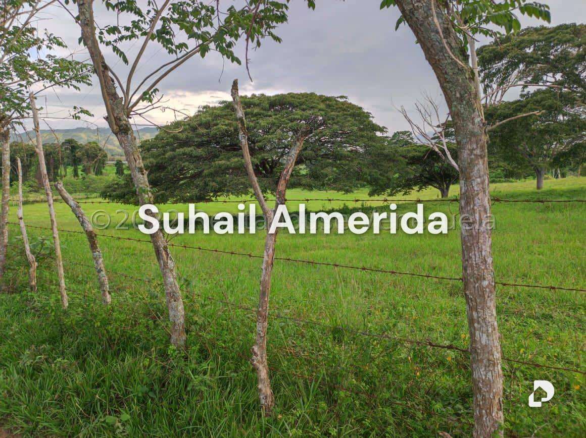 Finca en Belén – 9