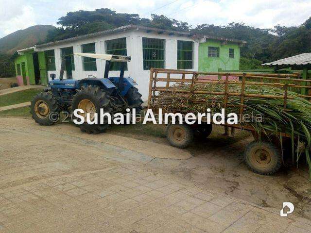 Finca en Belén – 17