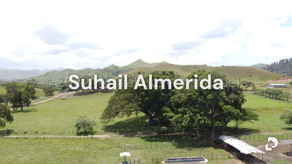 Finca en Belén – 2