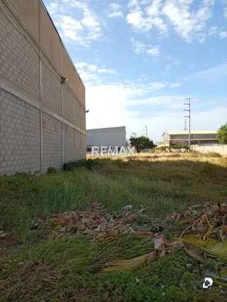 Local comercial en Av. 16, Maracaibo – 15