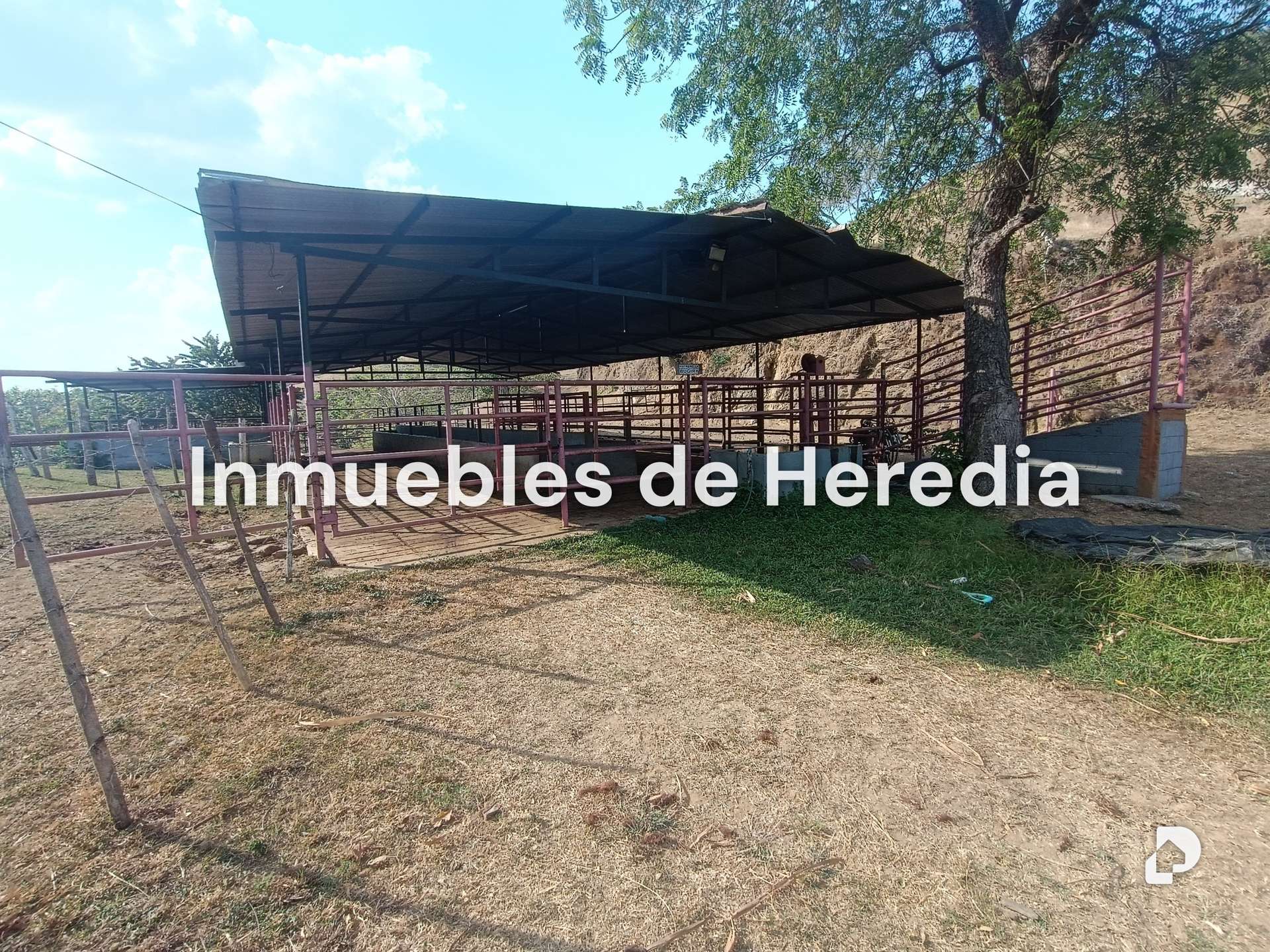 Finca en Tinaquillo – 6