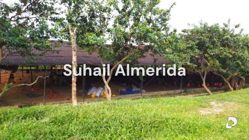 Finca en Canoabo, Bejuma – 27