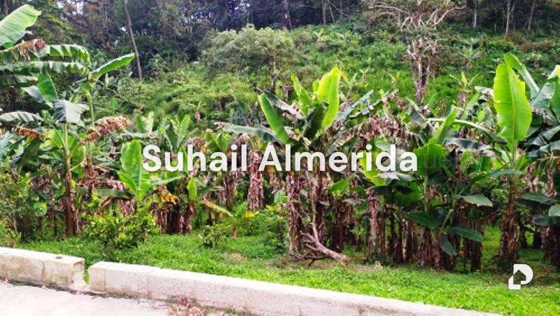 Finca en Canoabo, Bejuma – 22