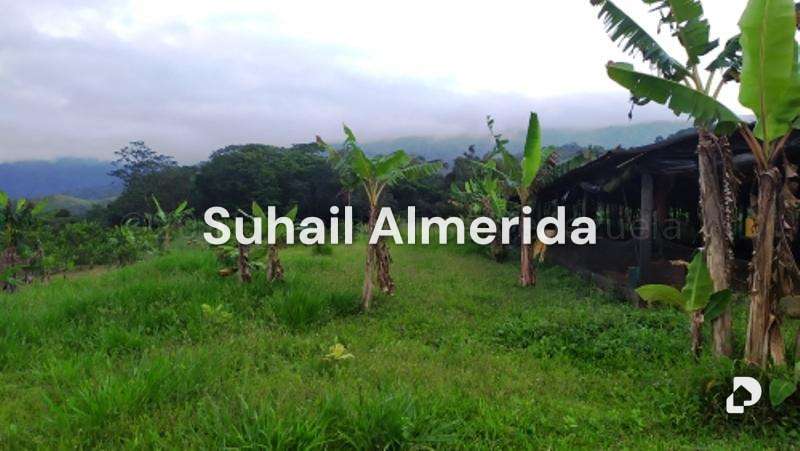 Finca en Canoabo, Bejuma – 18