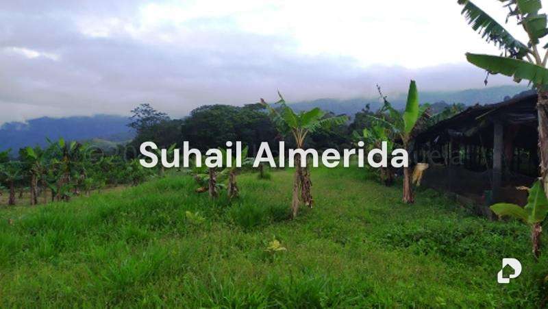 Finca en Canoabo, Bejuma – 19