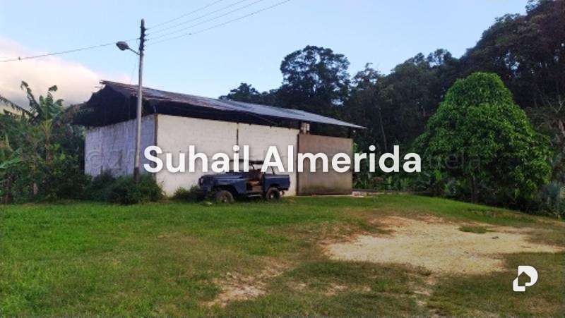 Finca en Canoabo, Bejuma – 9