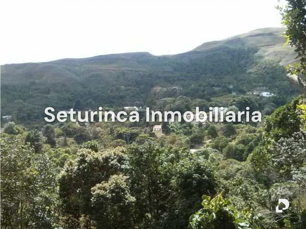 Terreno en El Junquito, Caracas – 2
