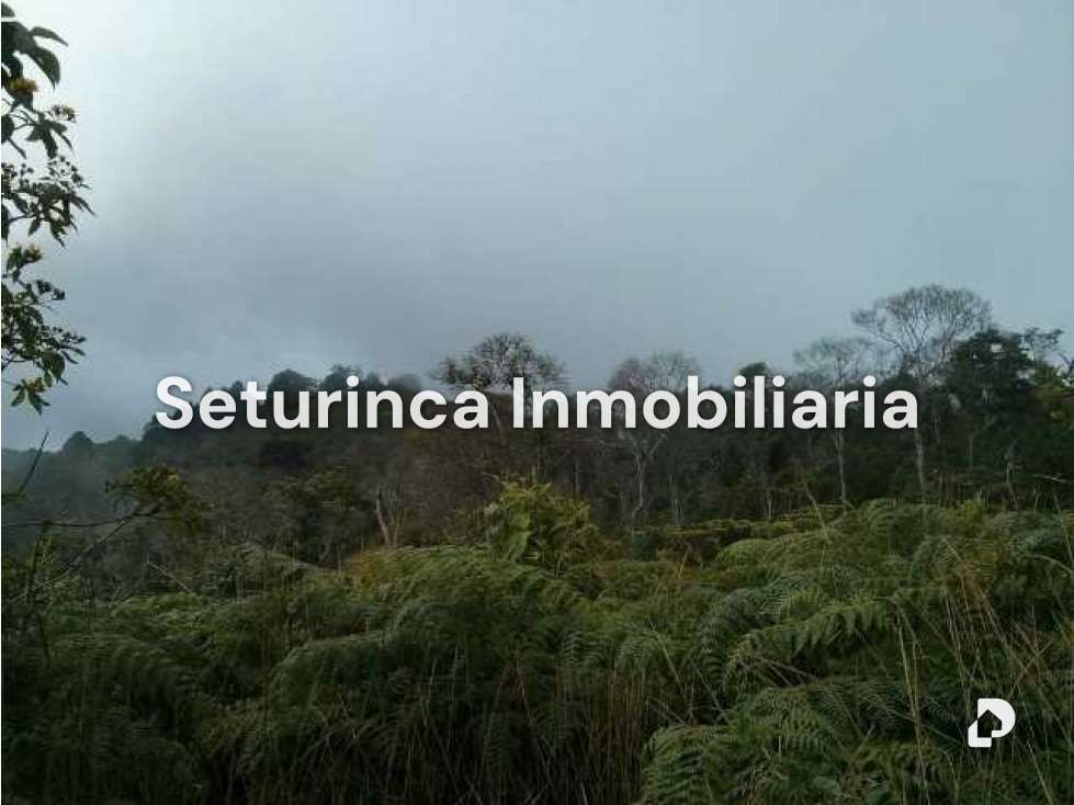 Terreno en El Junquito, Caracas – 3