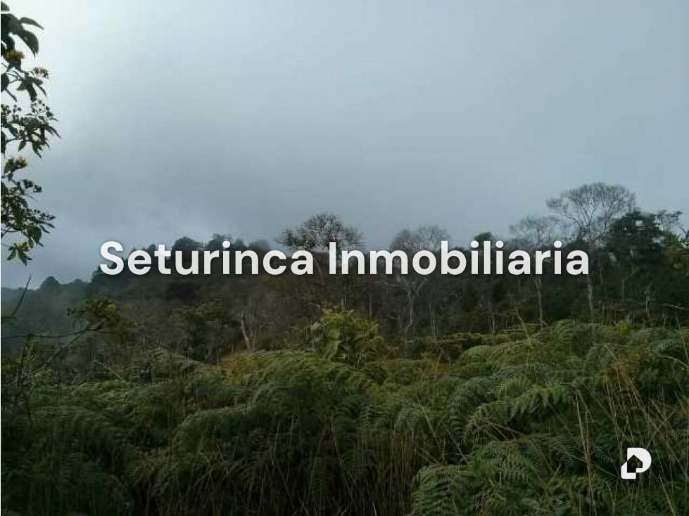Terreno en El Junquito, Caracas – 3