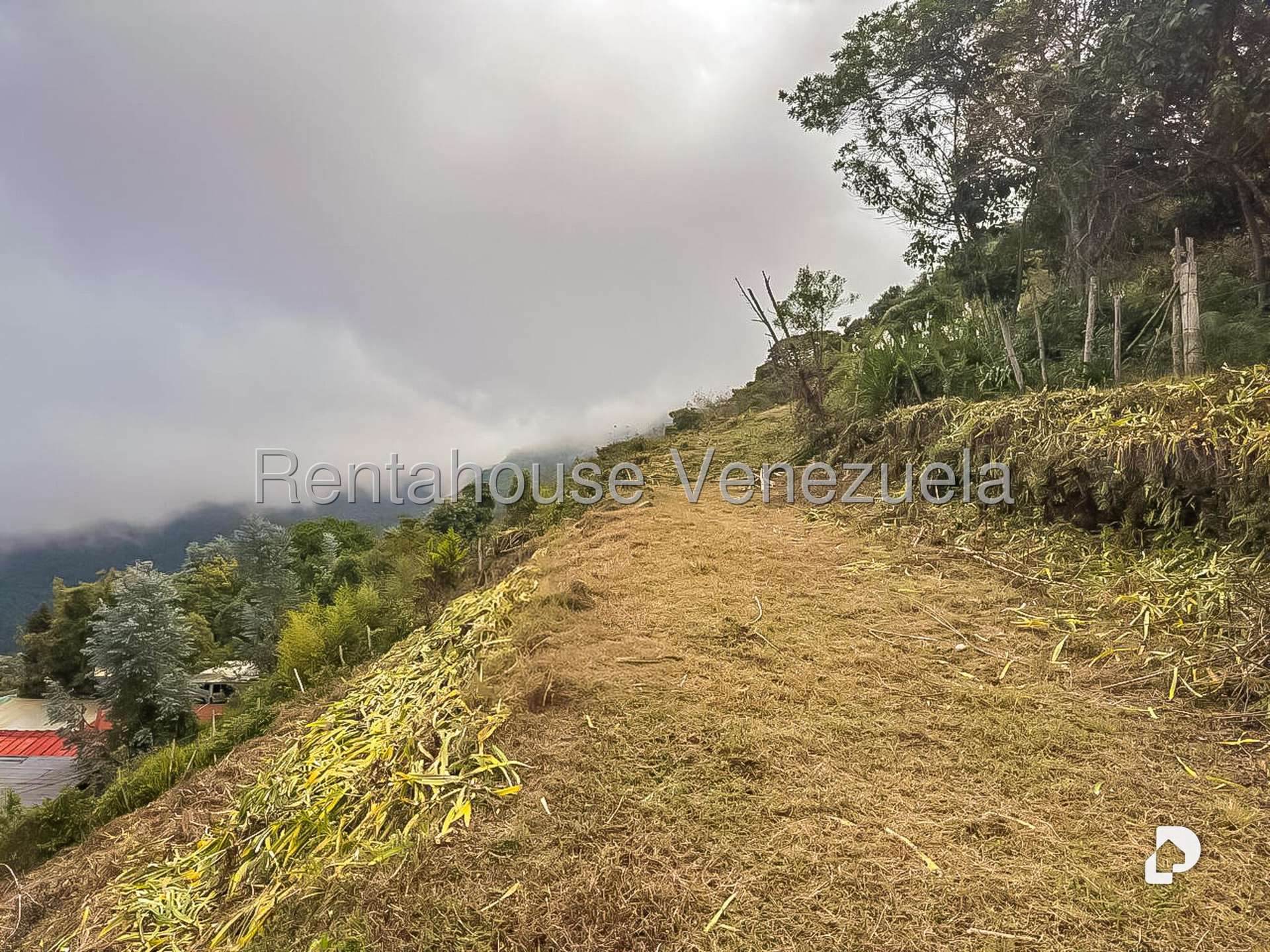 Local comercial en Galipan, Caracas – 29