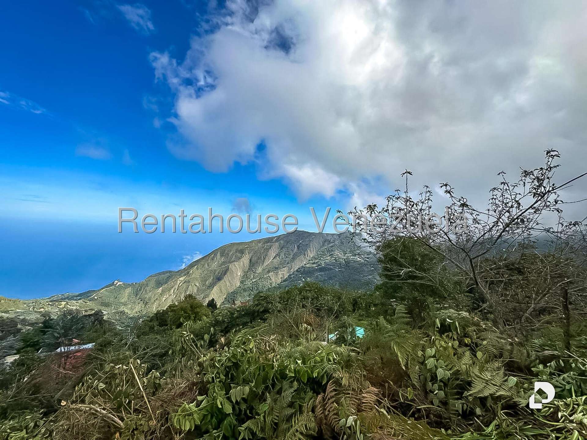 Local comercial en Galipan, Caracas – 2