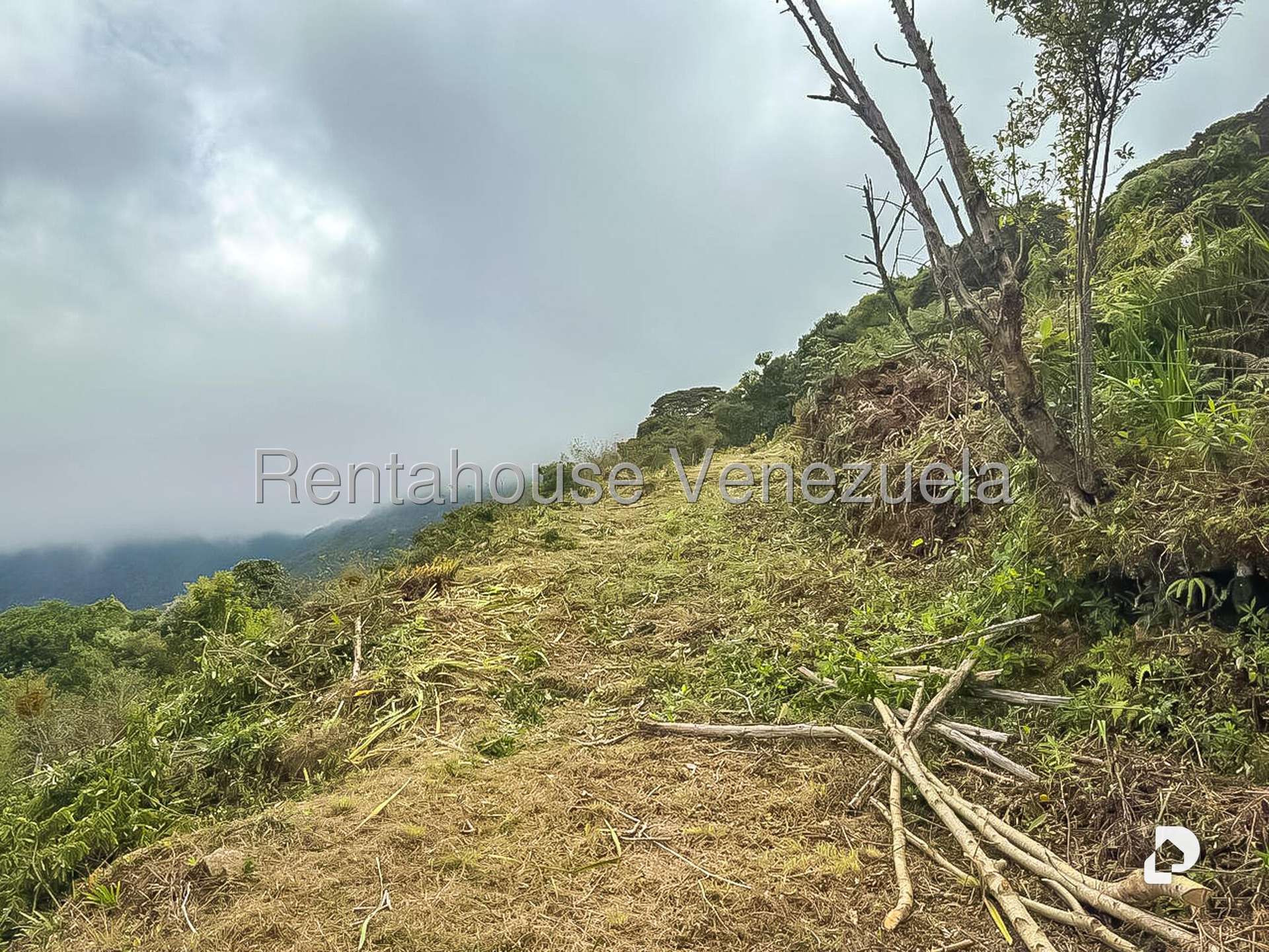 Local comercial en Galipan, Caracas – 28