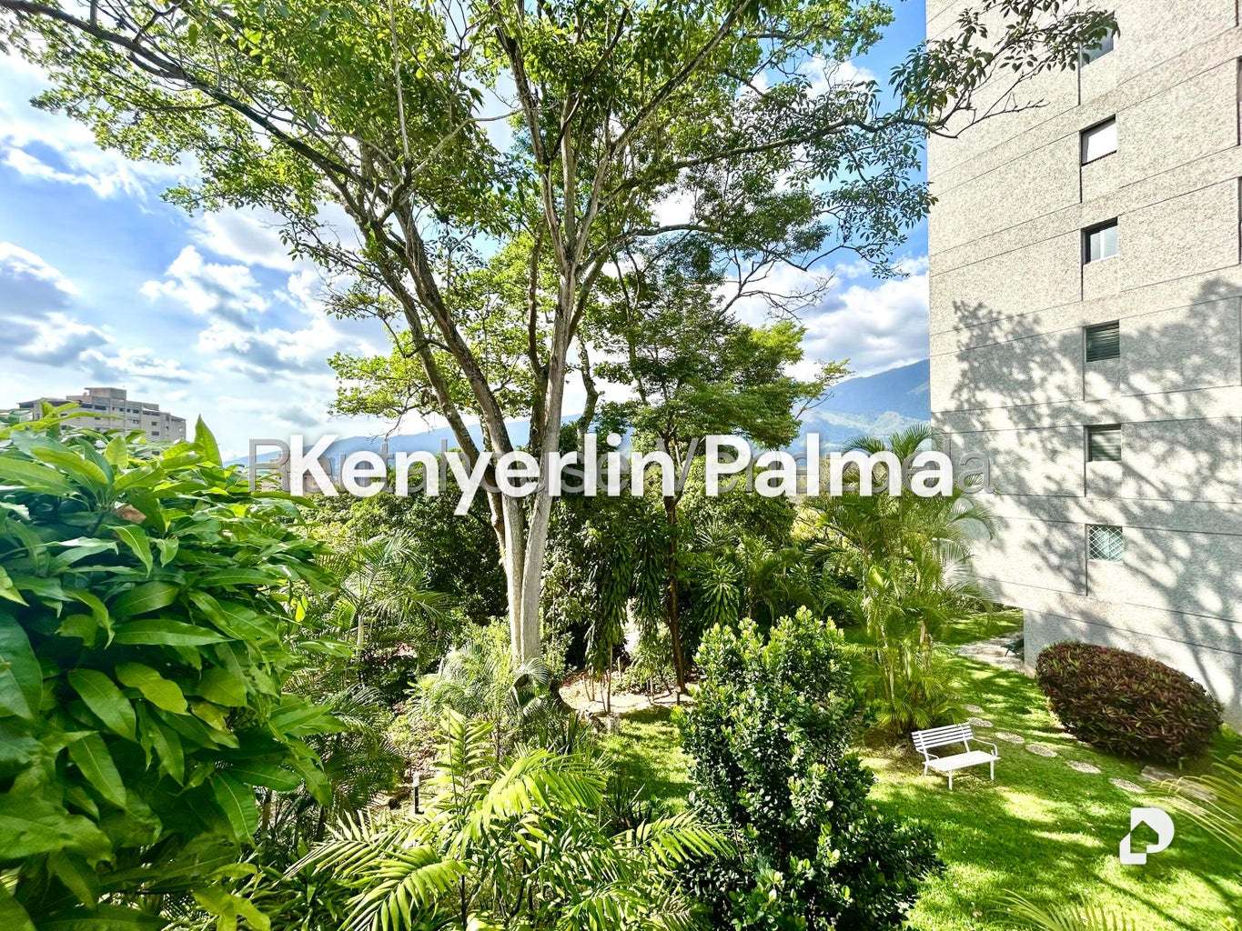 Apartamento en Colinas de Bello Monte, Caracas – 26
