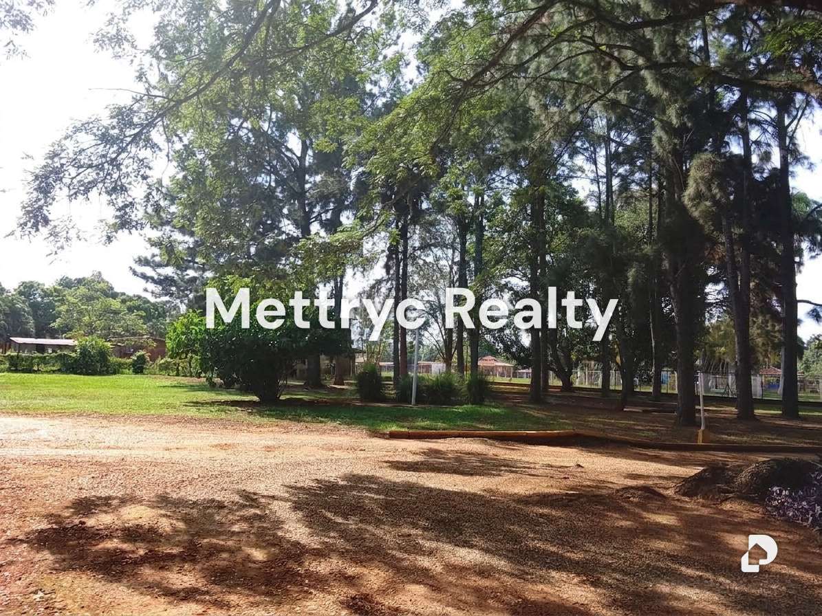 Finca en Sabana Del Medio, Valencia – 43