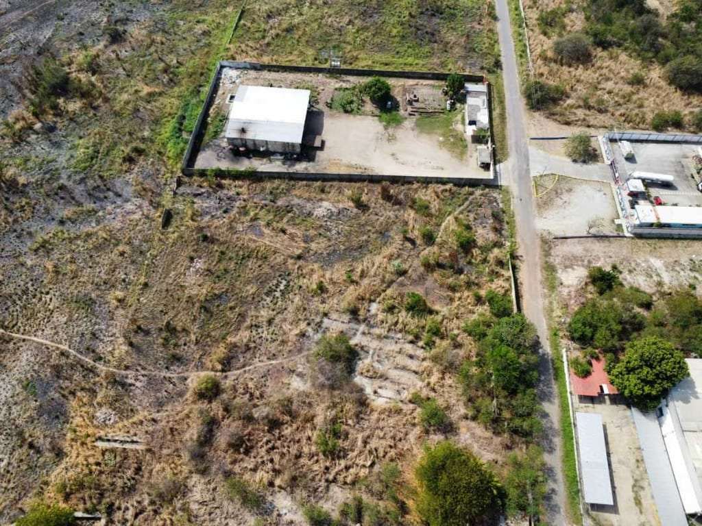 Terreno en Diego Ibarra, Guacara - 1