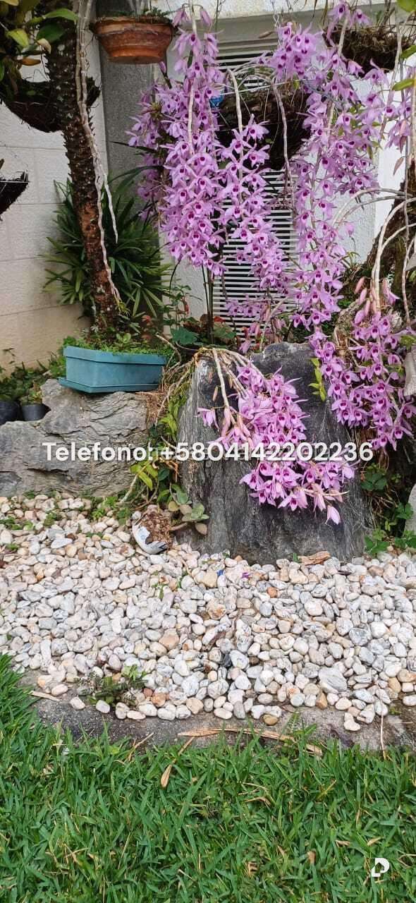 Casa en Colinas del Tamanaco, Caracas – 52