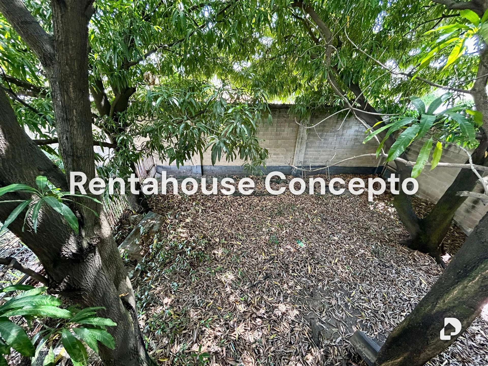 Terreno en Industrial Carabobo, Valencia – 19