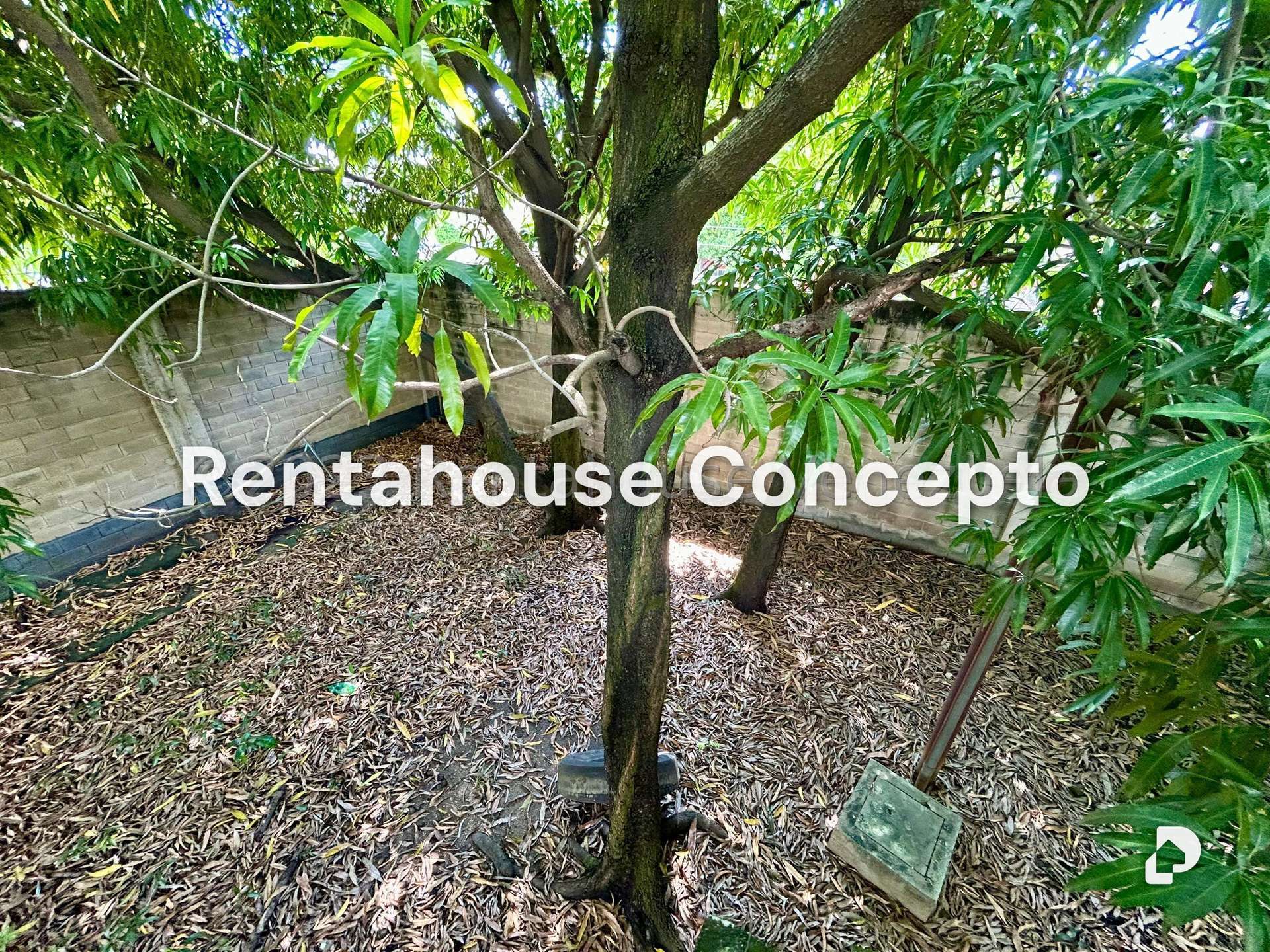 Terreno en Industrial Carabobo, Valencia – 20