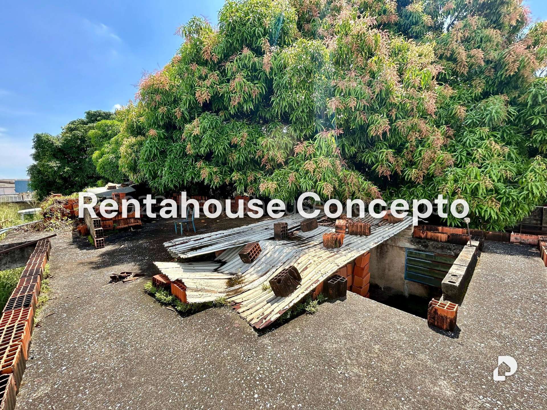 Terreno en Industrial Carabobo, Valencia – 23
