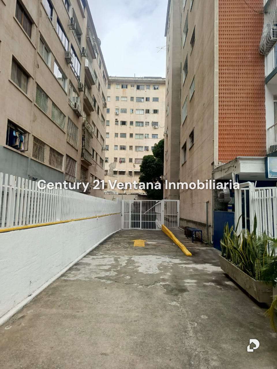 Local comercial en Los Palos Grandes, Caracas – 4