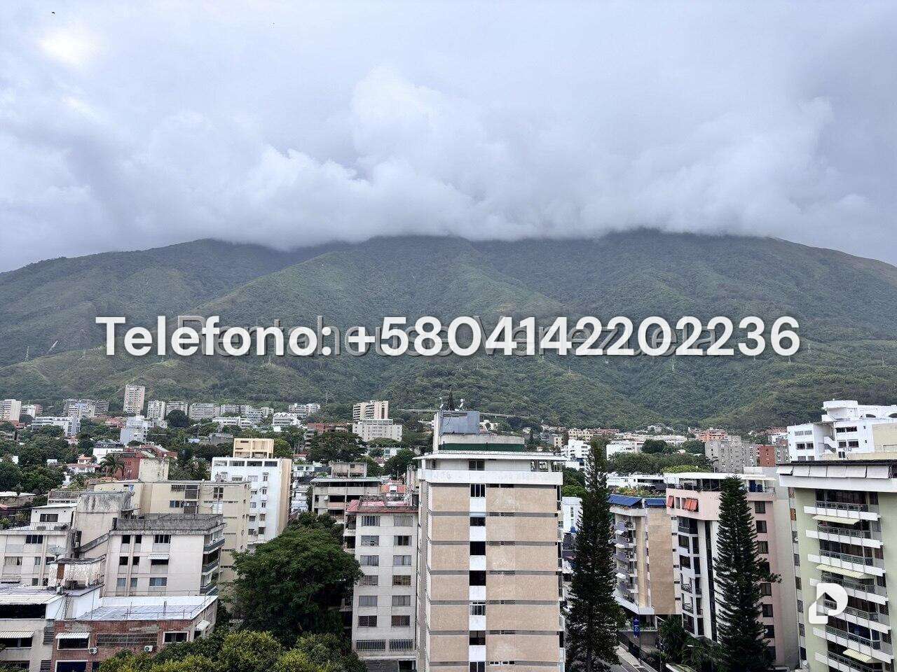 Apartamento en Los Palos Grandes, Caracas – 20
