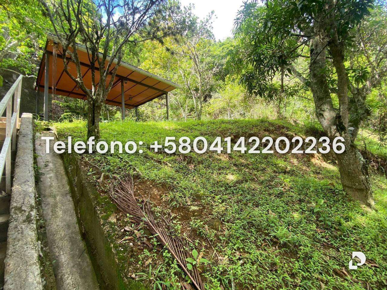 House in Prados del Este, Caracas – 56