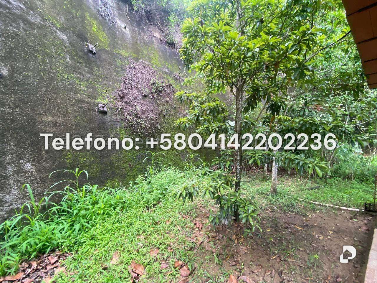 Casa en Prados del Este, Caracas – 51