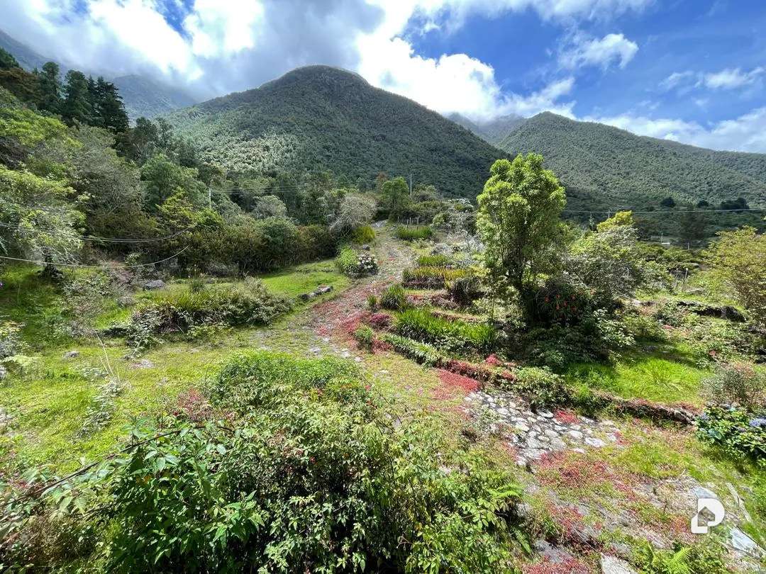 Casa en La Caña Alta, La Culata – 3
