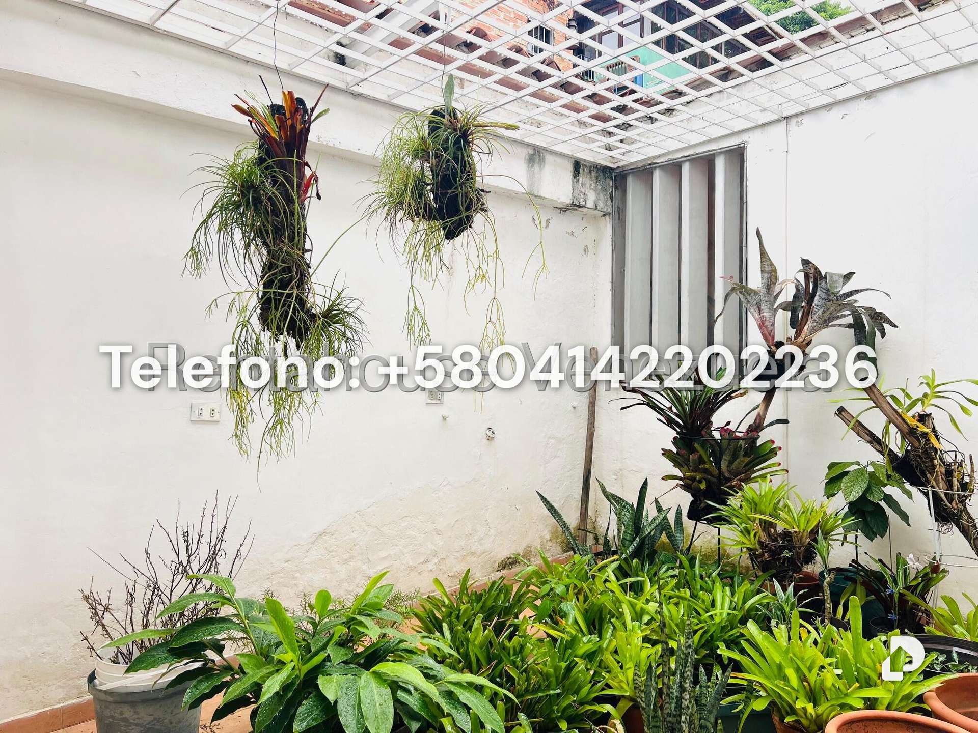 Casa en Prados del Este, Caracas – 43