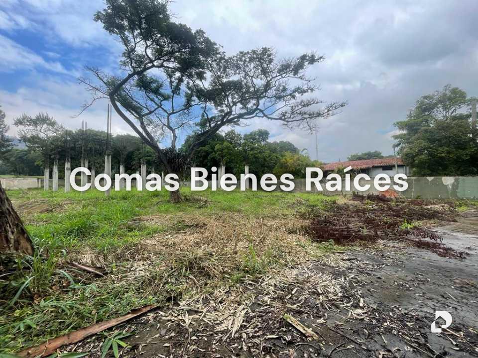 Terreno en Valle Arriba, Caracas – 5