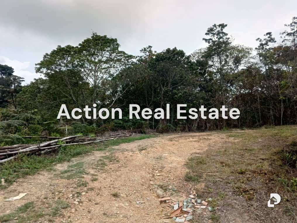 Terreno en San Diego de Los Altos, Altos Mirandinos – 1