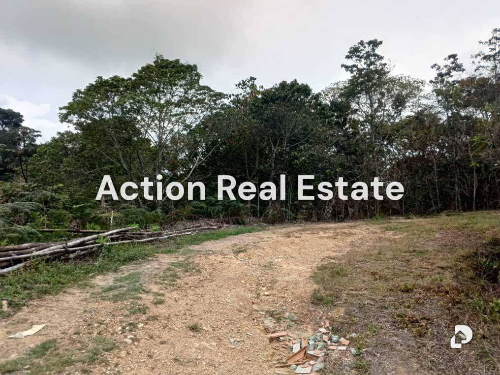 Terreno en San Diego de Los Altos, Altos Mirandinos – 1
