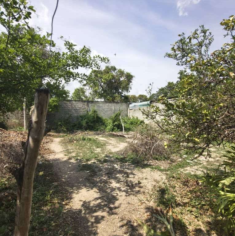 Terreno en Barquisimeto - 1