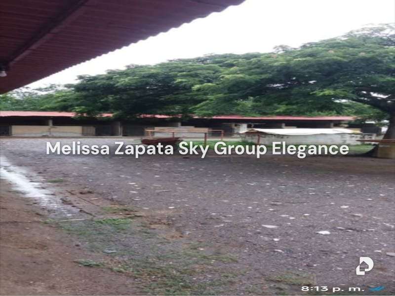 Terreno en Yaritagua – 2